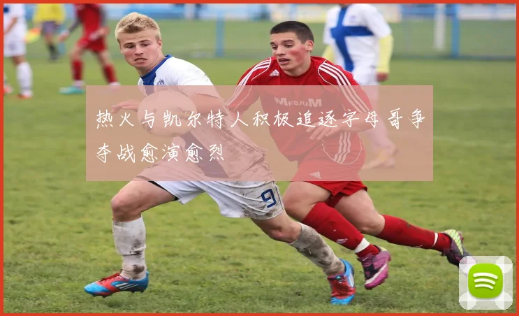 热火与凯尔特人积极追逐字母哥争夺战愈演愈烈
