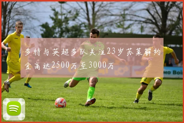 多特与英超多队关注23岁苏莱解约金高达2500万至3000万