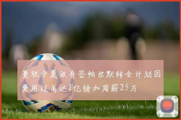曼联今夏放弃签帕尔默转会计划因费用过高达1亿镑加周薪25万