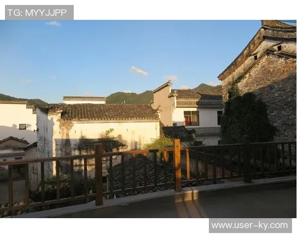 哈兰德分享休闲时光高尔夫球场上尽显运动魅力 哈兰德分享休闲时光高尔夫球场上尽显运动魅力